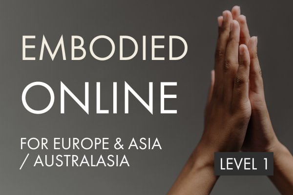Level 1 Embodied Online-3